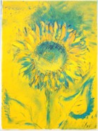 14 - Sonnenblume auf Grün und Gelb, 40 x 30